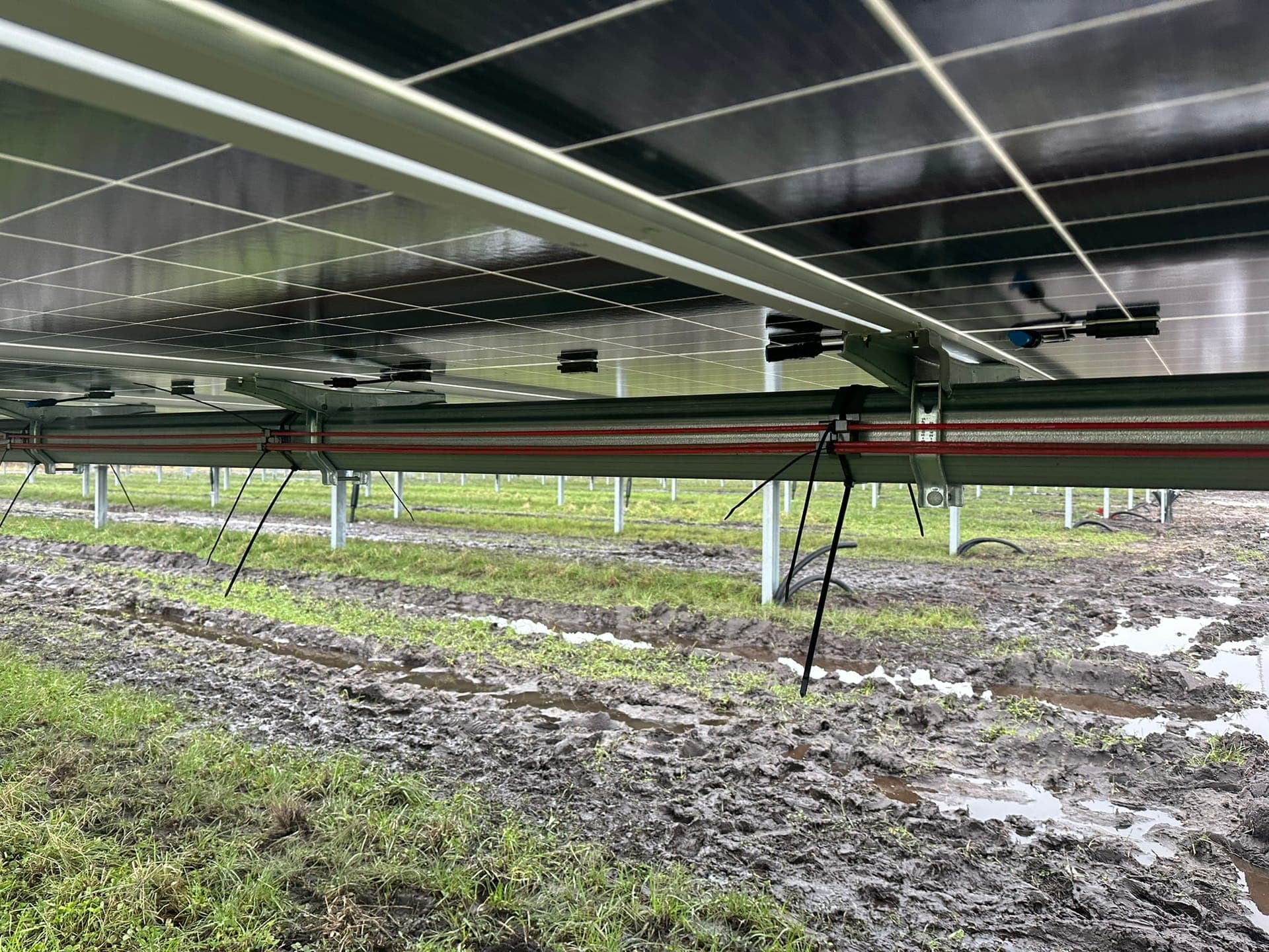 Kroghøj 44 MW Denmark 1P Tracker